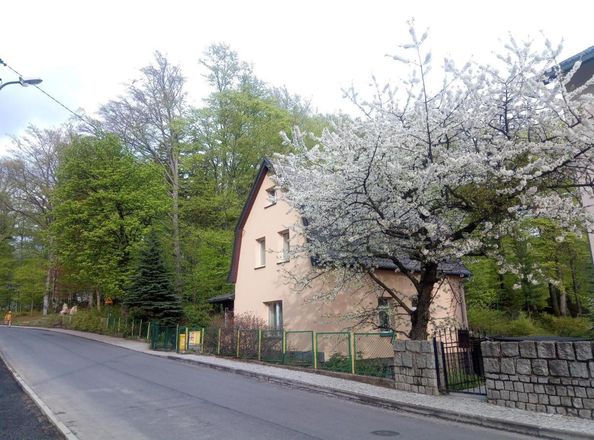 Willa Rozalia Szklarska Poreba Luaran gambar
